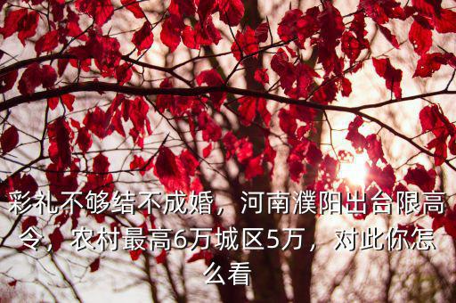 彩禮不夠結不成婚，河南濮陽出臺限高令，農村最高6萬城區5萬，對此你怎么看