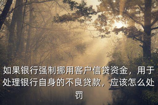 洛陽銀行不良貸款怎么處罰,應該怎么處罰