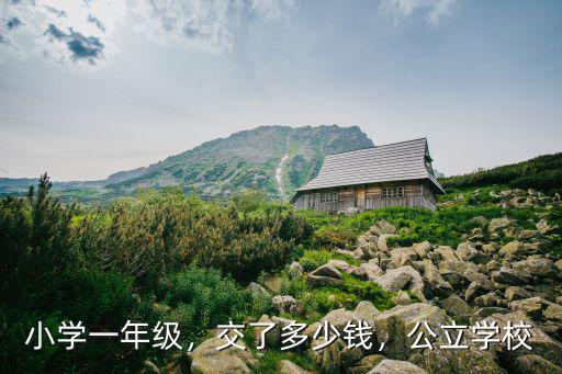 南陽小學一年級要交多少錢,現在上小學一年級要交多少錢
