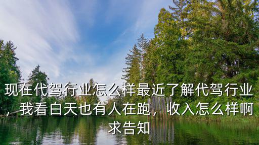 現在代駕行業怎么樣最近了解代駕行業，我看白天也有人在跑，收入怎么樣啊求告知