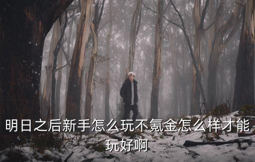 明日之后怎么樣不開封,明日之后新手怎么玩