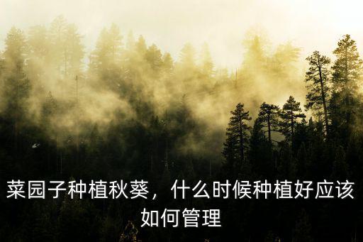 河南哪里有種植黃秋葵的,河南種什么蔬菜的最多