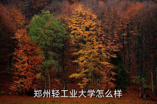 鄭州輕工業大學怎么樣