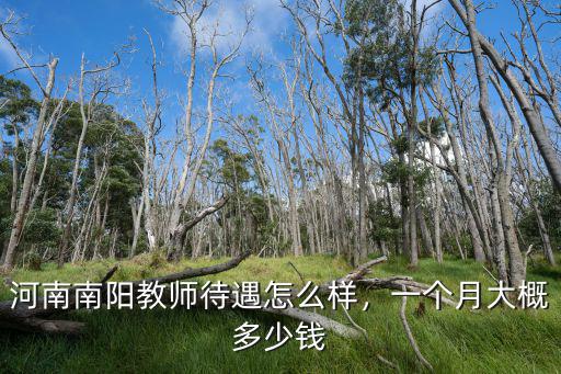 河南上蔡教師工資多少錢,一個月大概多少錢