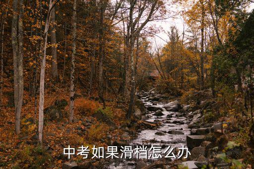 河南中考滑檔生怎么辦,中考如果滑檔怎么辦