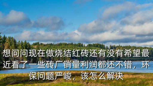 想問問現在做燒結紅磚還有沒有希望最近看了一些磚廠銷量利潤都還不錯，環保問題嚴峻，該怎么解決