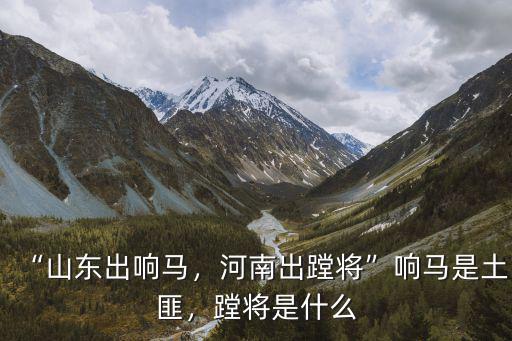 “山東出響馬，河南出蹚將”響馬是土匪，蹚將是什么