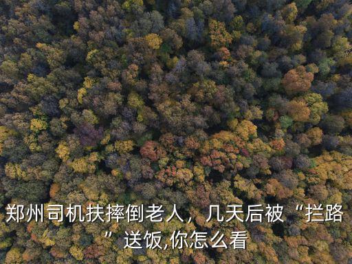 鄭州司機扶摔倒老人，幾天后被“攔路”送飯,你怎么看