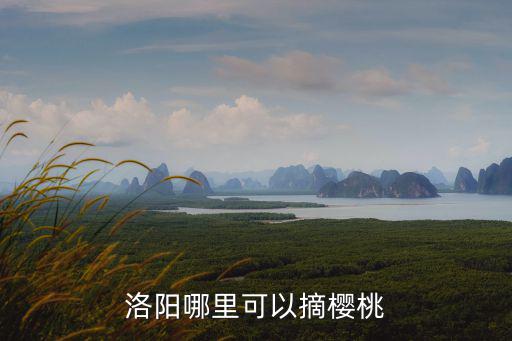 洛陽哪里可以摘櫻桃