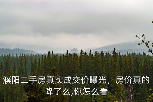 濮陽早報怎么看,濮陽濮北新區的發展你怎么看