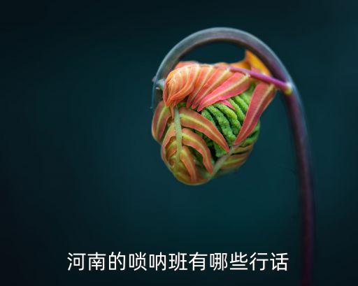 河南哪里可以學(xué)嗩吶,河南的嗩吶班有哪些行話(huà)