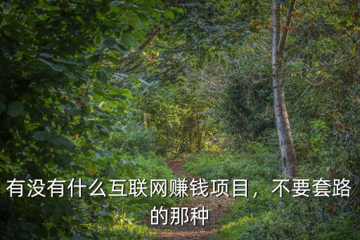有沒(méi)有什么互聯(lián)網(wǎng)賺錢(qián)項(xiàng)目，不要套路的那種