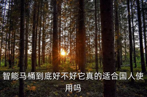 開封智能馬桶怎么樣,智能馬桶好不好