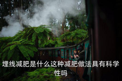 南陽(yáng)埋線減肥哪里做,埋線減肥是什么