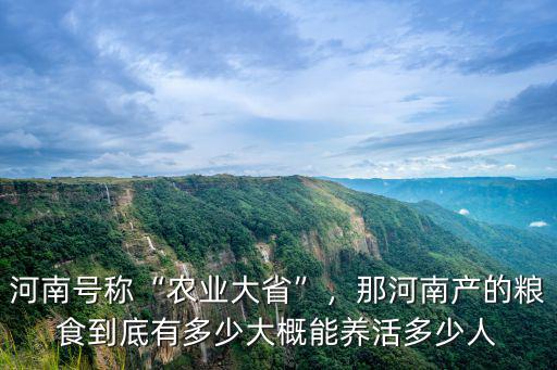 河南號稱“農業大省”，那河南產的糧食到底有多少大概能養活多少人