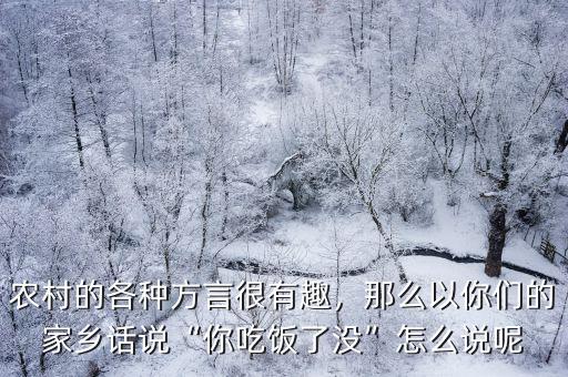 農(nóng)村的各種方言很有趣，那么以你們的家鄉(xiāng)話說“你吃飯了沒”怎么說呢