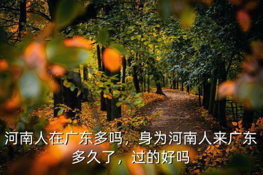 河南嫁廣東佛山的有多少,河南人在廣東多嗎