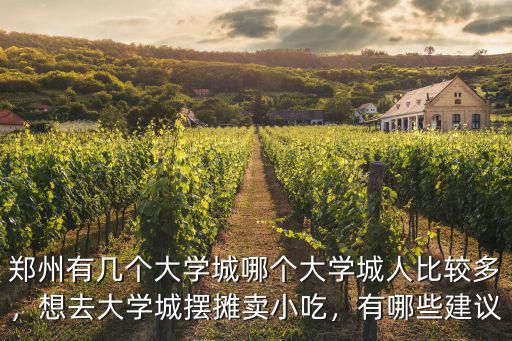 鄭州有幾個大學城哪個大學城人比較多，想去大學城擺攤賣小吃，有哪些建議
