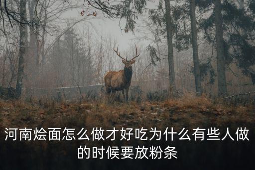 河南燴面怎么做才好吃為什么有些人做的時候要放粉條