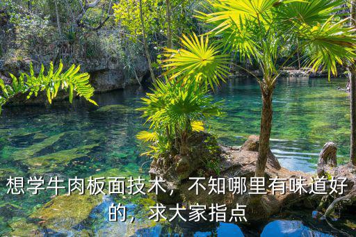 想學(xué)牛肉板面技術(shù)，不知哪里有味道好的，求大家指點(diǎn)