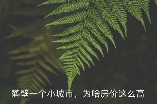 鶴壁廣場房價多少,鶴壁南部房價多少