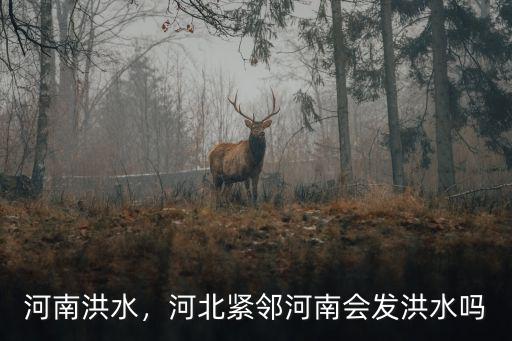 河南省洪水從哪里來(lái)的,河南省的大水退了沒(méi)有
