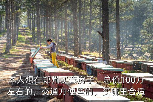 鄭州搜狐在哪里買,鄭州舊書市場在哪里