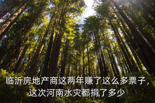 臨沂房地產商這兩年賺了這么多票子，這次河南水災都捐了多少