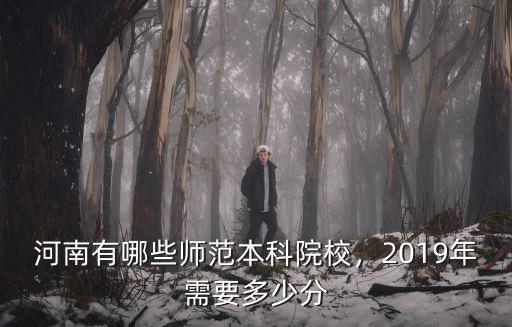 河南有哪些師范本科院校，2019年需要多少分