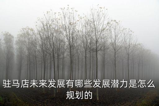 駐馬店東區怎么規劃,是怎么規劃的