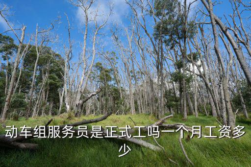 洛陽乘務(wù)員工資一般多少,空姐一般工資有多少