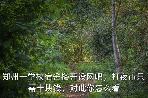 鄭州夜市炒面多少錢,打夜市只需十塊錢