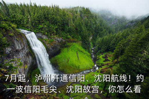 7月起，瀘州開通信陽、沈陽航線！約一波信陽毛尖、沈陽故宮，你怎么看