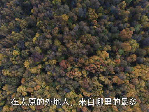 河南哪里的星探比較多,來自哪里的最多