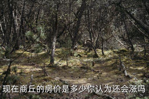商丘市郊區房價多少錢,現在商丘的房價是多少