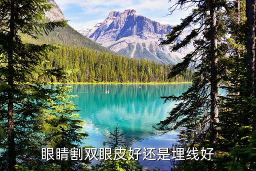 安陽(yáng)埋線雙眼皮哪里好,雙眼皮埋線好嗎