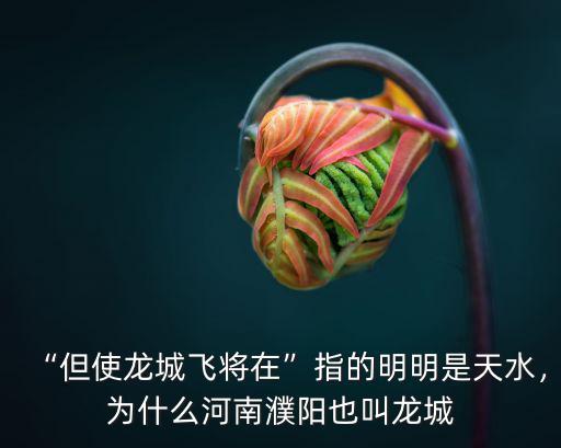 濮陽華夏龍城在哪里,濮陽在戰國時期屬于哪里