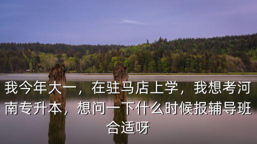 河南統招專升本在哪里考試,我想考河南專升本