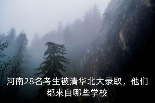 河南28名考生被清華北大錄取，他們都來自哪些學校