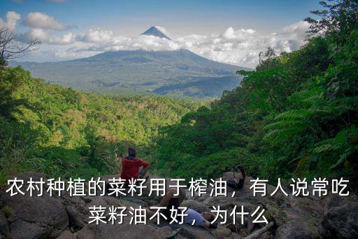 河南農(nóng)村菜籽油的多少錢(qián),農(nóng)村種植的菜籽用于榨油