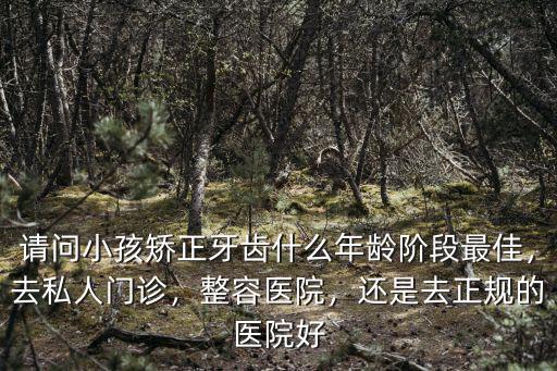 請問小孩矯正牙齒什么年齡階段最佳，去私人門診，整容醫院，還是去正規的醫院好