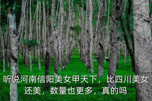 聽說河南信陽美女甲天下，比四川美女還美，數量也更多，真的嗎