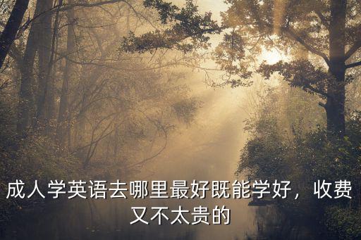 成人學英語去哪里最好既能學好，收費又不太貴的
