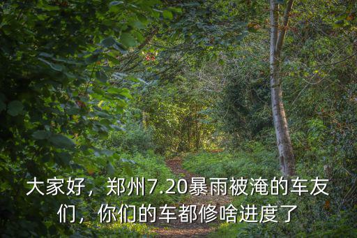 鄭州暴雨車(chē)怎么辦,鄭州暴雨過(guò)后