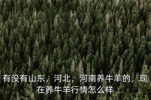 有沒有山東，河北，河南養牛羊的，現在養牛羊行情怎么樣