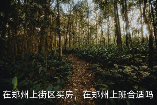 在鄭州上街區買房，在鄭州上班合適嗎