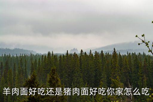 羊肉面好吃還是豬肉面好吃你家怎么吃