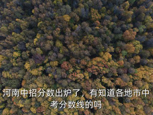 河南中招分數出爐了，有知道各地市中考分數線的嗎