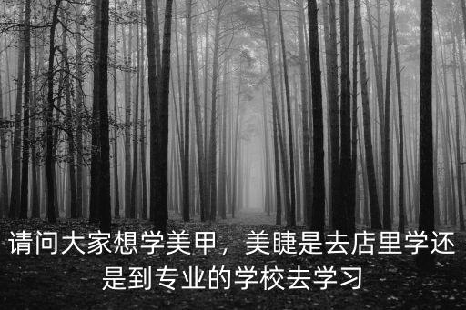 請問大家想學美甲，美睫是去店里學還是到專業的學校去學習