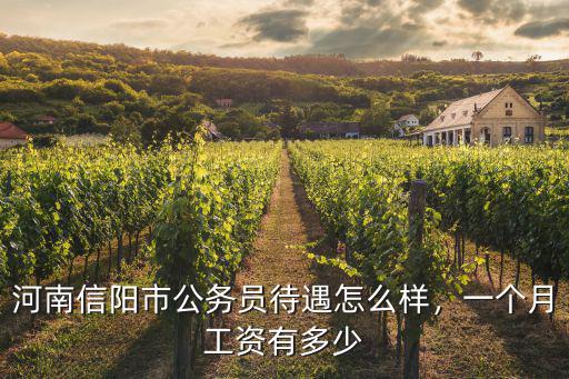 信陽大飛待遇怎么樣,河南信陽市公務員待遇怎么樣